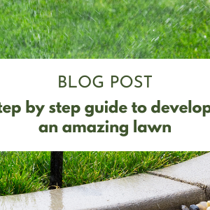A step by step guide to developing an amazing lawn, using Brunnings lawn seed