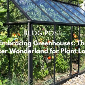 Embracing Greenhouses: The Winter Wonderland for Plant Lovers