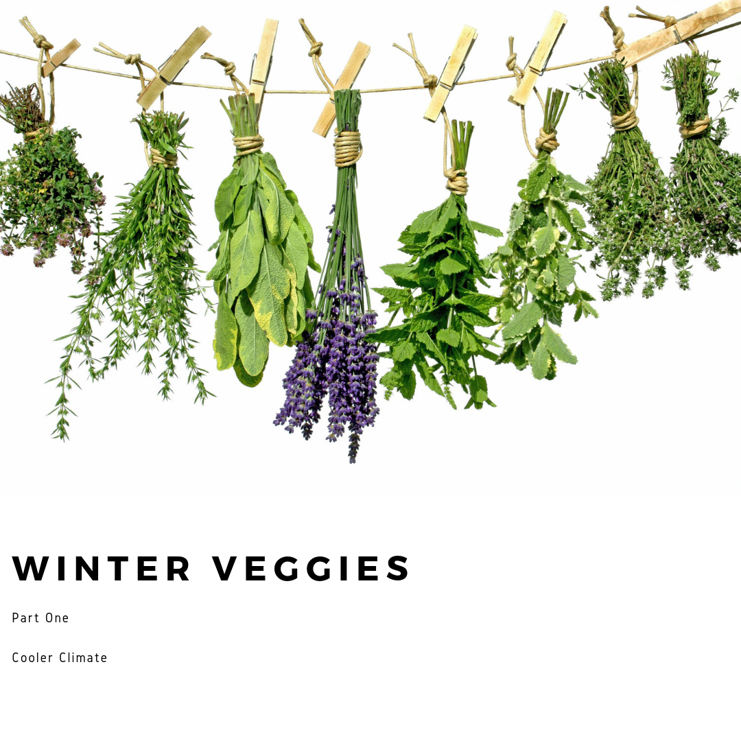 Winter Veggies - Part One Cooler Climate