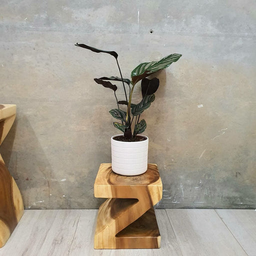 Prasads Home and Garden Home & Garden > Decor Z Shape 25cm Plant Stand/Stool/Side Table/Corner Table Raintree Wood